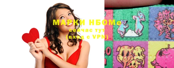 амф Пионерский