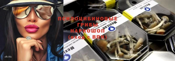 бошки Сясьстрой