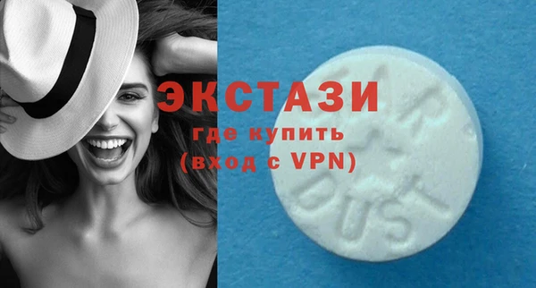 хмурый Тайга