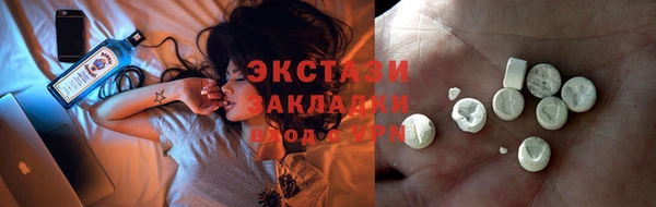 хмурый Тайга