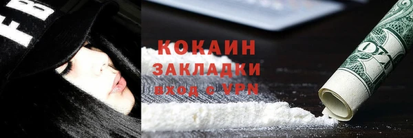 хмурый Тайга