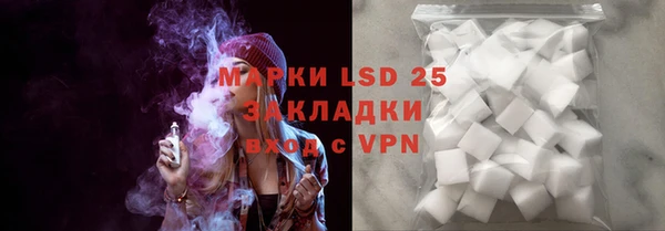 хмурый Тайга