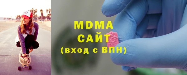 хмурый Тайга