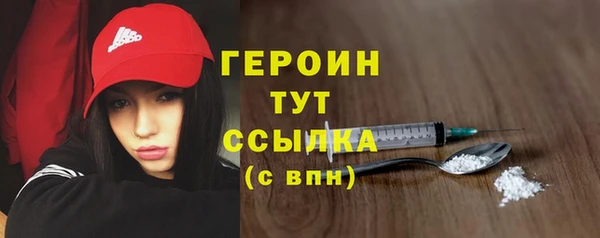 хмурый Тайга