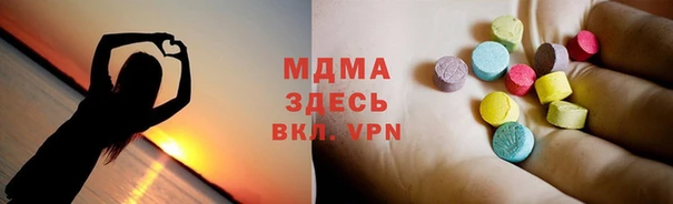 хмурый Тайга