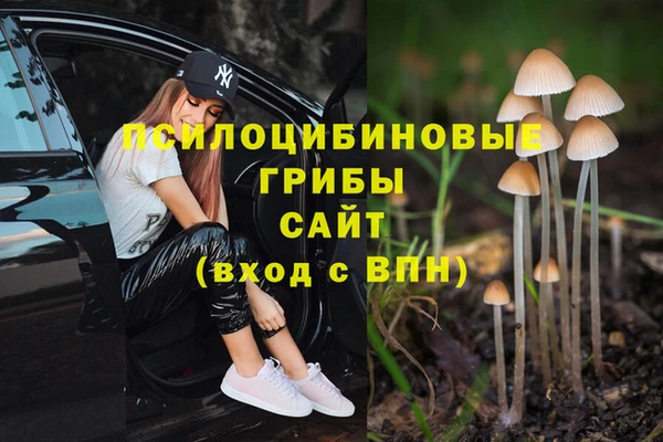 бошки Сясьстрой