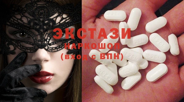 хмурый Тайга