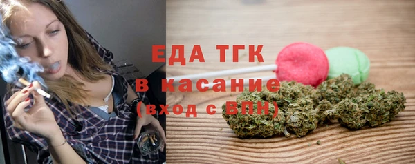 хмурый Тайга