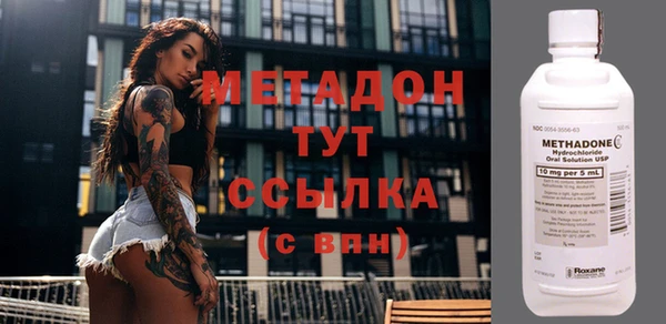 хмурый Тайга